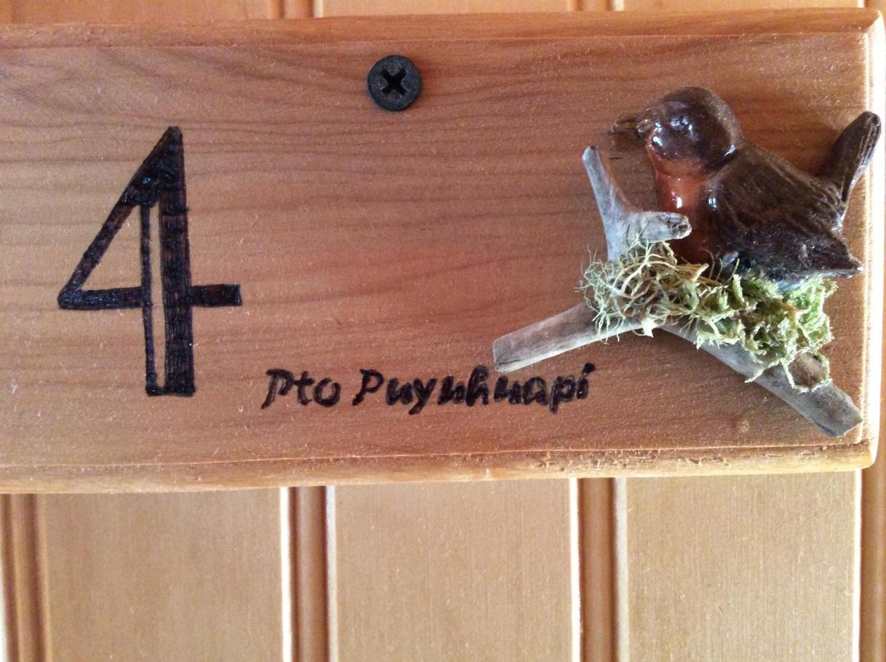 Los Manios Del Queulat Puyuhuapi Extérieur photo